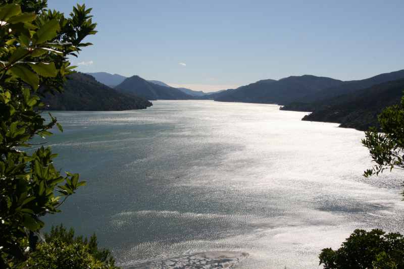 Nieuw-Zeeland 2011 - 0966